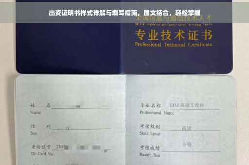 出资证明书样式详解与填写指南,图文结合,轻松掌握 出资证明书样式详解与填写指南,图文结合,轻松掌握
