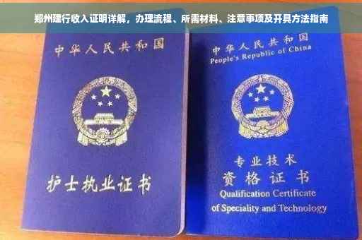 郑州建行收入证明详解，办理流程、所需材料、注意事项及开具方法指南