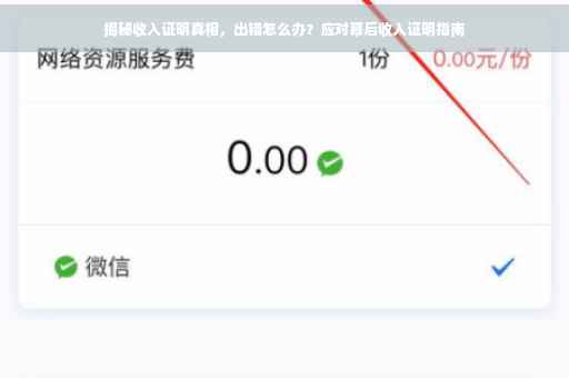 揭秘收入证明真相，出错怎么办？应对幕后收入证明指南