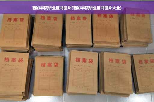 西影学院毕业证书图片(西影学院毕业证书图片大全)