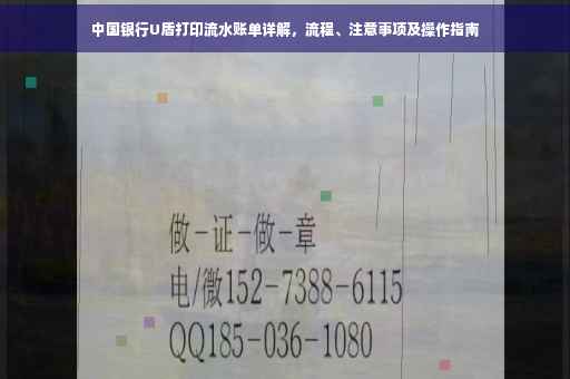 中国银行U盾打印流水账单详解，流程、注意事项及操作指南