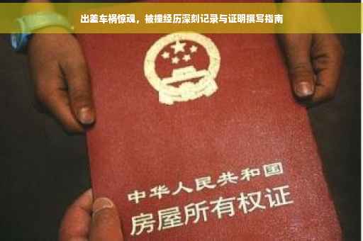 出差车祸惊魂，被撞经历深刻记录与证明撰写指南