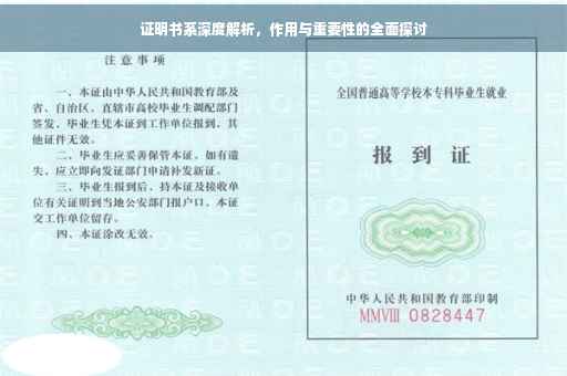 证明书系深度解析，作用与重要性的全面探讨