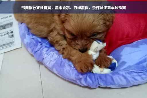 招商银行贷款详解，流水要求、办理流程、条件及注意事项指南