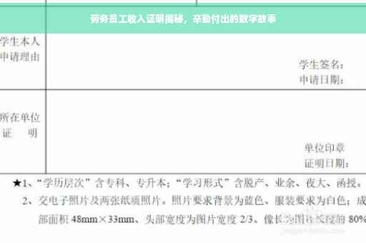 劳务员工收入证明揭秘，辛勤付出的数字故事