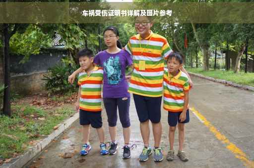 车祸受伤证明书详解及图片参考