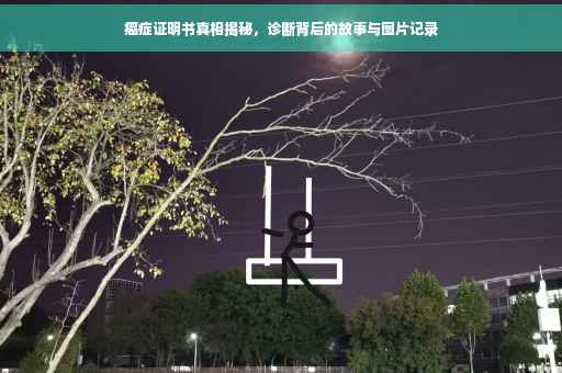 癌症证明书真相揭秘，诊断背后的故事与图片记录