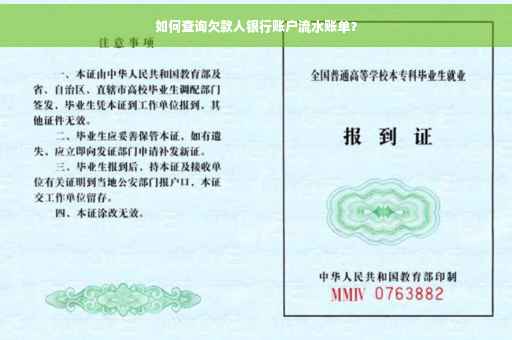 如何查询欠款人银行账户流水账单？