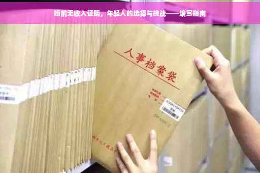 婚前无收入证明，年轻人的选择与挑战——编写指南
