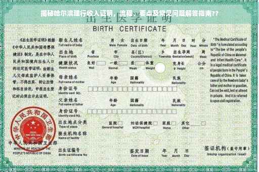 揭秘哈尔滨建行收入证明，流程、要点及常见问题解答指南??
