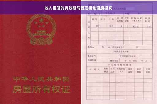 收入证明的有效期与管理机制深度探究