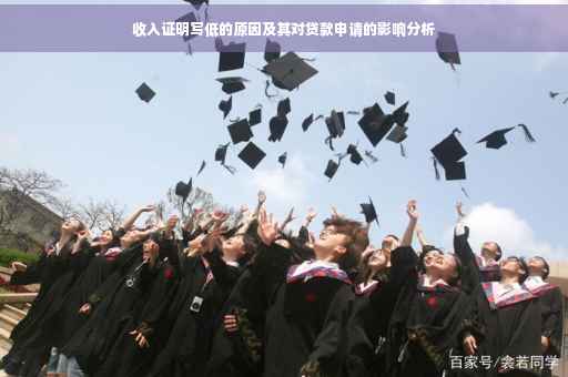 收入证明写低的原因及其对贷款申请的影响分析