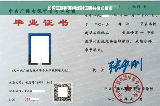 如何正确撰写判缓刑证明书格式指南
