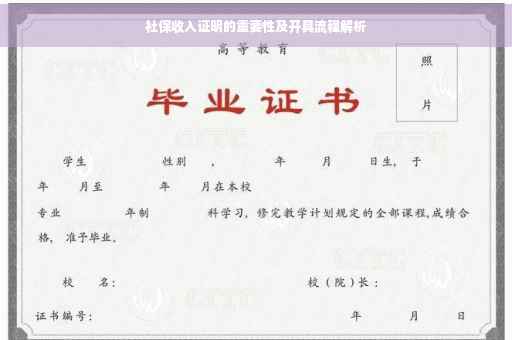 社保收入证明的重要性及开具流程解析