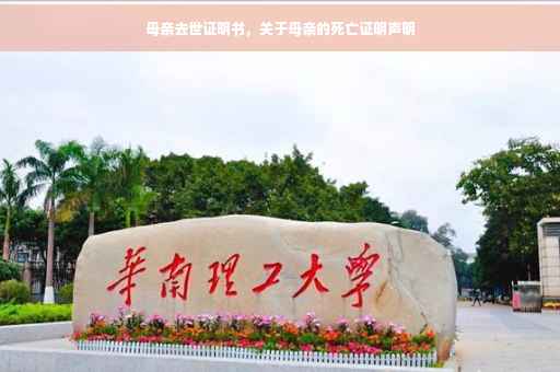 母亲去世证明书，关于母亲的死亡证明声明