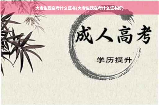 大专生现在考什么证书(大专生现在考什么证书好)
