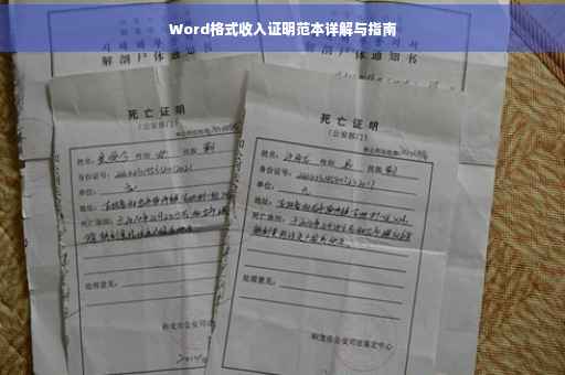 Word格式收入证明范本详解与指南