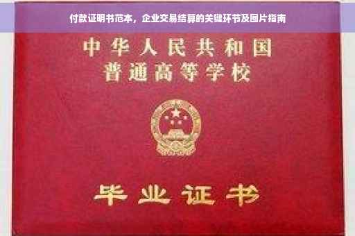 付款证明书范本，企业交易结算的关键环节及图片指南
