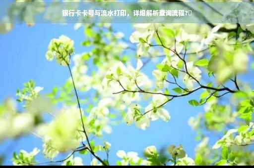 银行卡卡号与流水打印，详细解析查询流程?✨