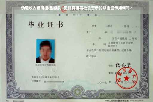 伪造收入证明模板揭秘，犯罪真相与社会警示的双重警示如何写？
