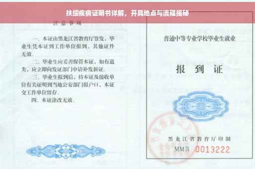 扶绥疾病证明书详解，开具地点与流程揭秘