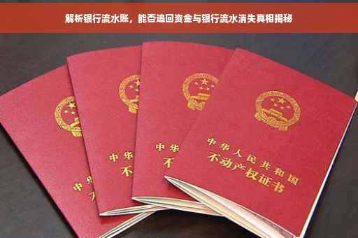 解析银行流水账，能否追回资金与银行流水消失真相揭秘