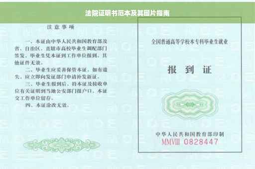 法院证明书范本及其图片指南