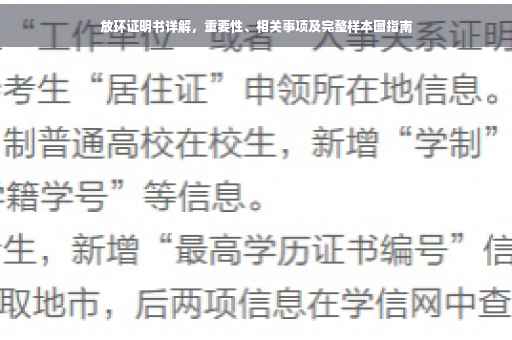 放环证明书详解，重要性、相关事项及完整样本图指南
