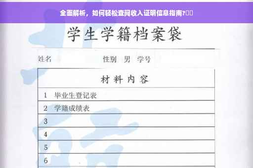 全面解析，如何轻松查阅收入证明信息指南?⚡️