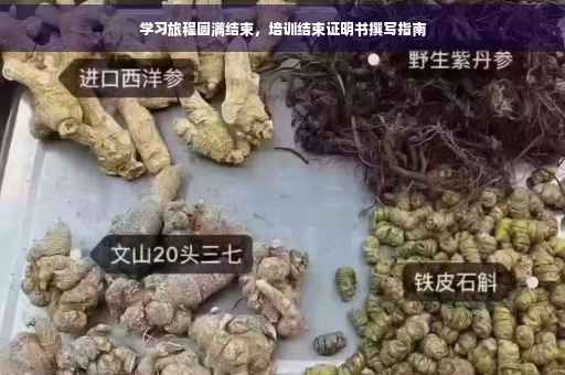 学习旅程圆满结束，培训结束证明书撰写指南