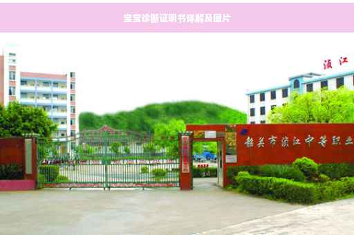 宝宝诊断证明书详解及图片