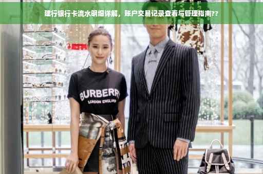 建行银行卡流水明细详解，账户交易记录查看与管理指南??
