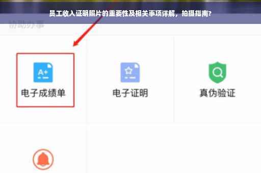 员工收入证明照片的重要性及相关事项详解，拍摄指南?