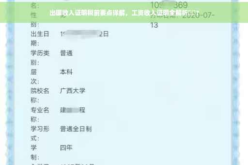 出国收入证明税前要点详解，工资收入证明全解析⚡️?