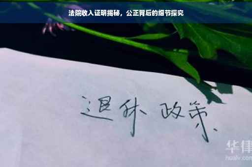 法院收入证明揭秘，公正背后的细节探究