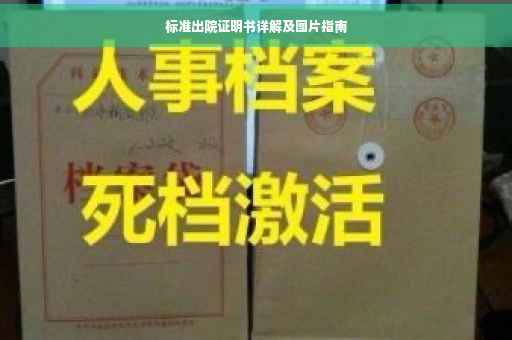 标准出院证明书详解及图片指南