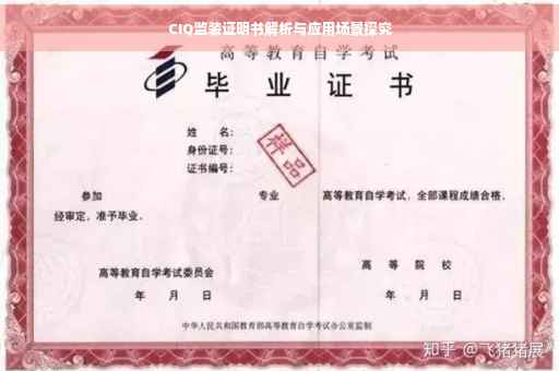 CIQ监装证明书解析与应用场景探究
