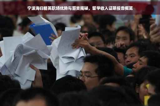 宁波海归精英职场优势与薪资揭秘，留学收入证明报告概览