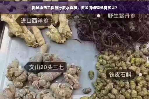 揭秘承包工程银行流水真相，资金流动究竟有多大？