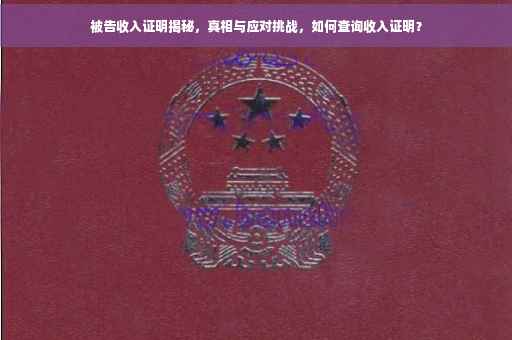 被告收入证明揭秘，真相与应对挑战，如何查询收入证明？