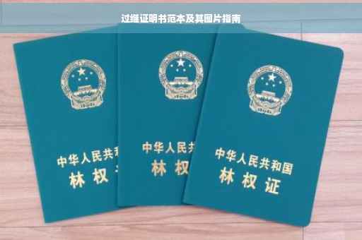 过继证明书范本及其图片指南