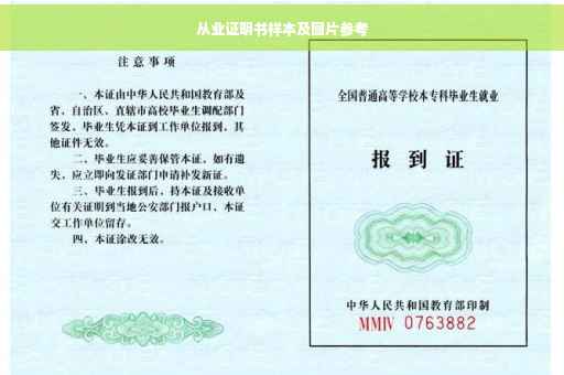 从业证明书样本及图片参考