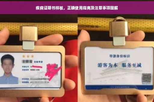 疾病证明书样板，正确使用指南及注意事项图解