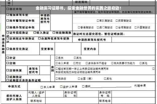 金融实习证明书，探索金融世界的实践之旅启动！