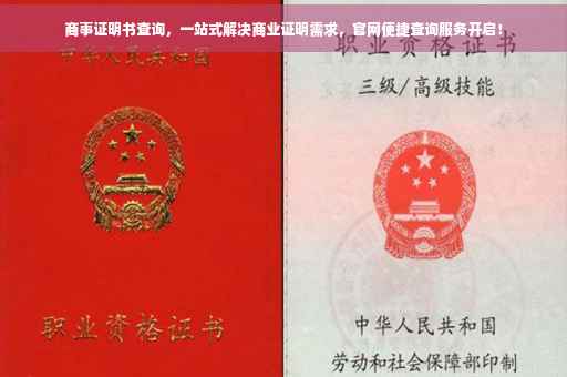 商事证明书查询，一站式解决商业证明需求，官网便捷查询服务开启！