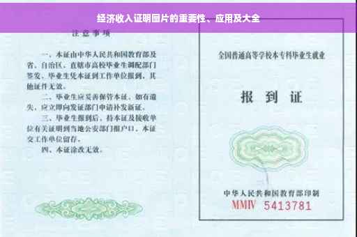 经济收入证明图片的重要性、应用及大全