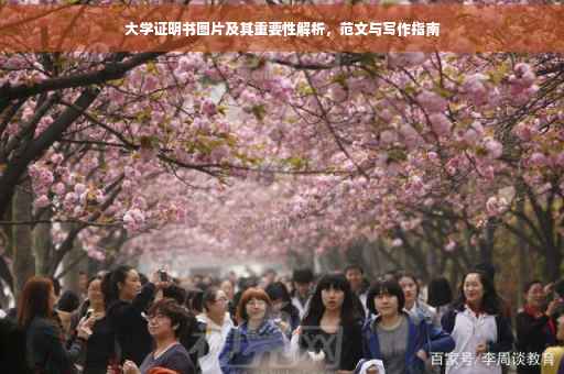 大学证明书图片及其重要性解析，范文与写作指南