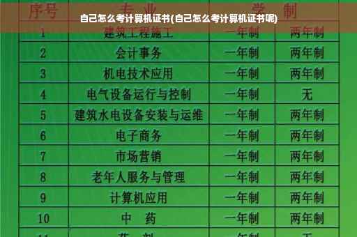自己怎么考计算机证书(自己怎么考计算机证书呢)
