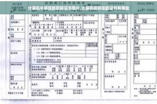 计算机中级技能职称证书图片,计算机初级技能证书有哪些