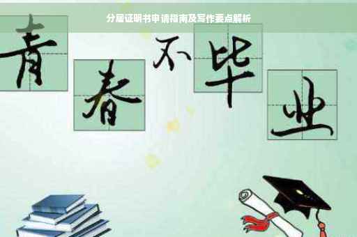 分居证明书申请指南及写作要点解析
